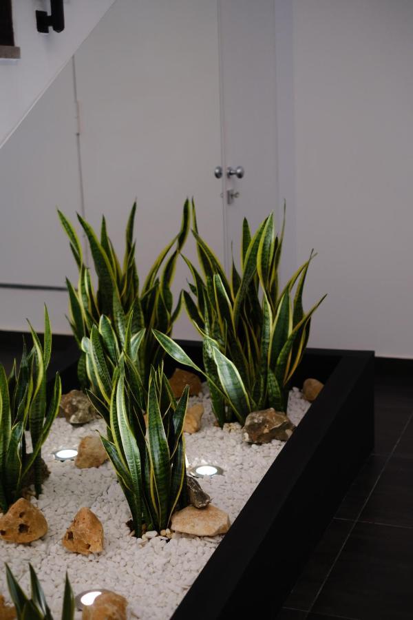 Domea Superior Rooms Bed And Breakfast Reggio Calabria Exterior foto